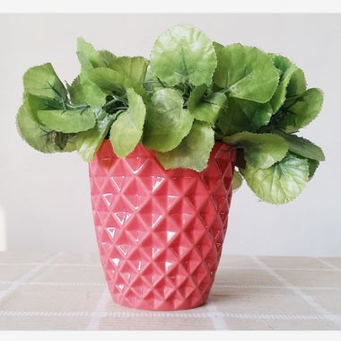 Better-Way Diamond Round Ceramic Orchid Flower Container.